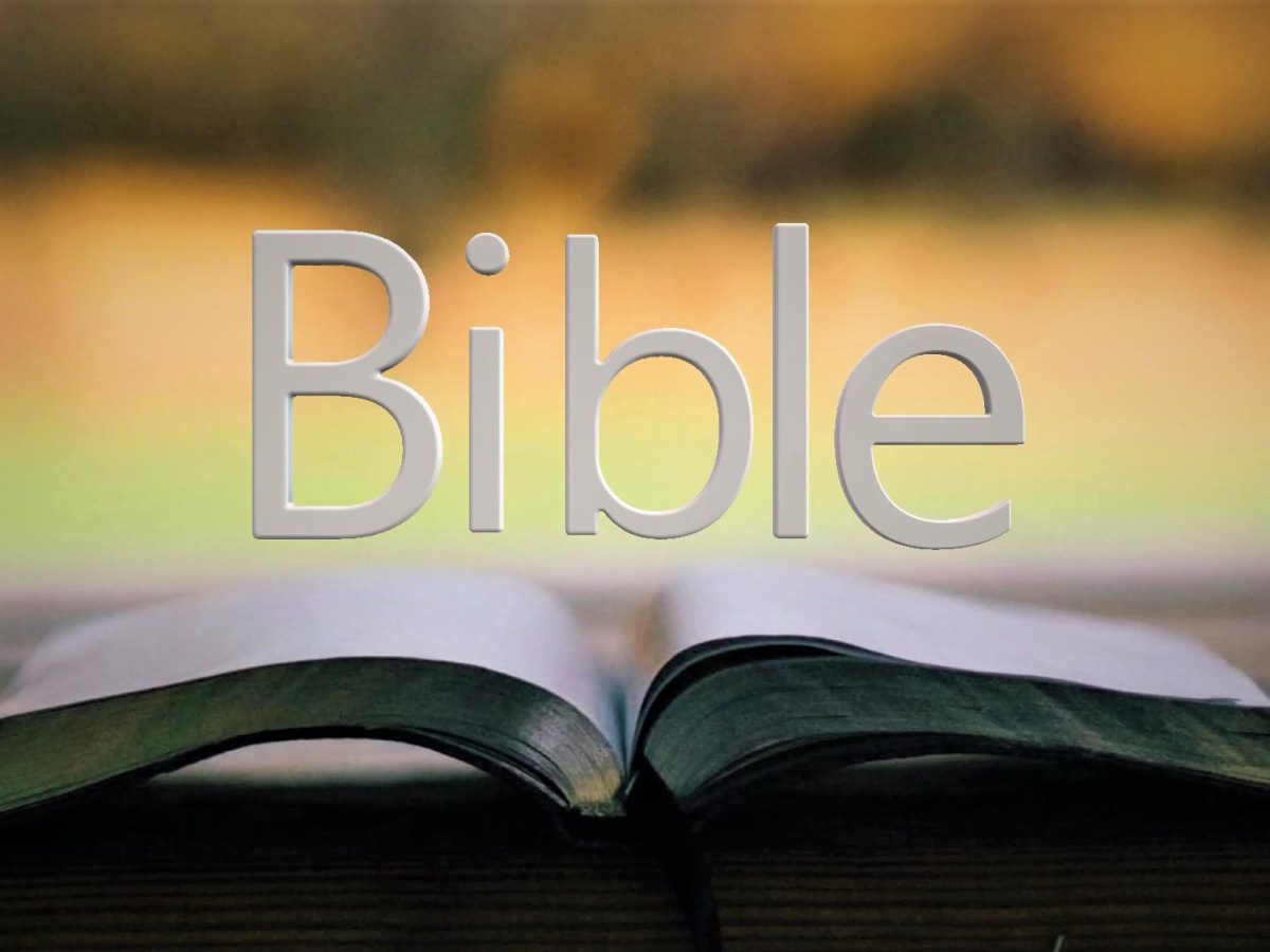 The Bible | Meditating on His&nbsp;words